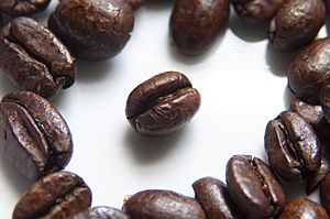 Coffee Beans Photographed in Macro