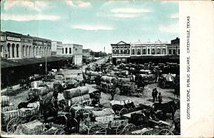 Cotton scene, public square, Greenville, Texas