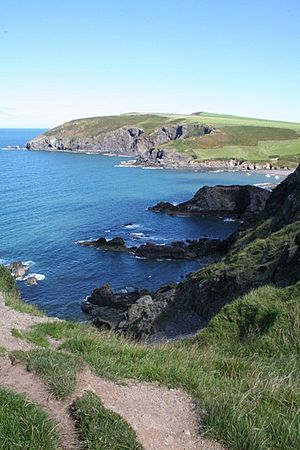 Dinas Head and Pwllgwaelod - geograph.org.uk - 565009