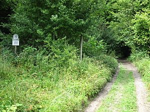 Entrance to Selborne Common - geograph.org.uk - 1436386.jpg