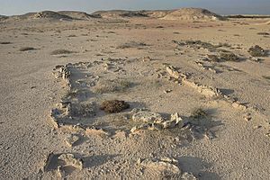 Excavated site on Al Khor Island