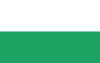 Flag of Jaworzno