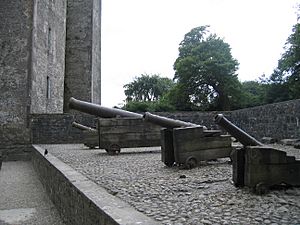 Guns Bunratty Castle