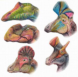 Hadrosauroids