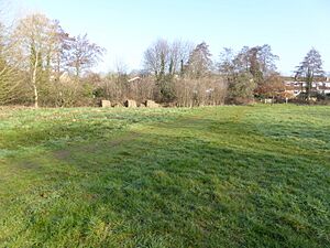 Hempstead Meadow (6)