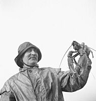 Holy Island Plays Its Part- Everyday Life on Lindisfarne, 1942 D6771 (cropped)