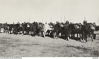 Indian Cavalry at Aleppo November 1918