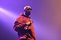 Inspectah Deck in Paris, 2013
