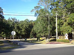 Jack L McLean Jr Park, Tallahassee