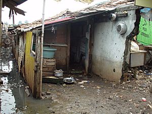 Jakarta slumlife16