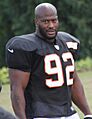James Harrison (American football) 2013