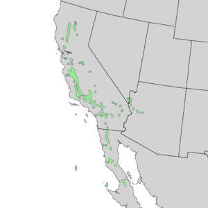 Juniperus californica range map 3.png