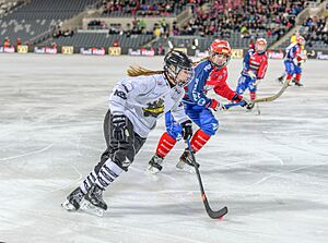 Kareby IS-AIK, 13 mars 2015 32