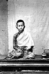 Kinnari of Siam