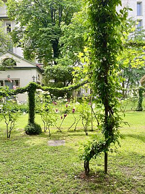 Leonardo's Vineyard