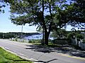LibraryView BaileyIslandME