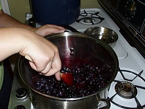Making Blueberry Jam 2