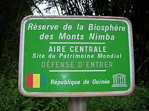 Mount Nimba Strict Nature Reserve-108442