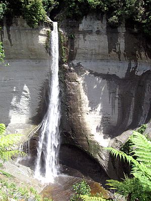 Mt. Damper Falls (New Zealand)