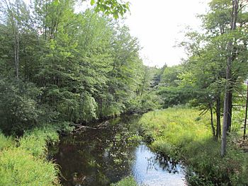 North Millers River, Winchendon Springs MA.jpg