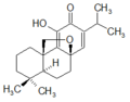 Pachyphyllone