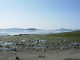 Padilla Bay seen from Bayview State Park.jpg