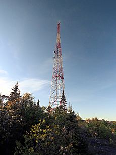 Palisade Head Radio Tower