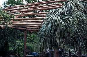 Partially built chickee- Big Cypress Reservation, Florida (4349289002)