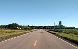 Photo of a flat, agricultural landscape with a black asphalt roadway running directly toward a tree line on the distant horizon.