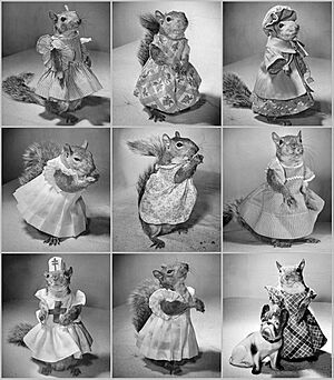 Pet-Squirrel-Grid-LIFE-1944.jpg