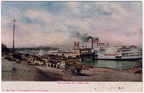 Postcard.Levee.St.Louis.Missouri.ca.1895view
