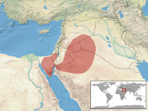 Pseudocerastes fieldi distribution.png