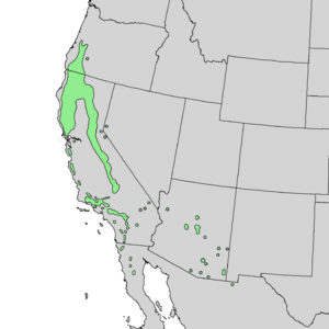 Quercus chrysolepis range map 1.png