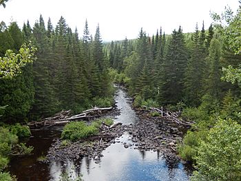 Rivière Saint-François (Saint-Hubert-de-Rivière-du-Loup).jpg
