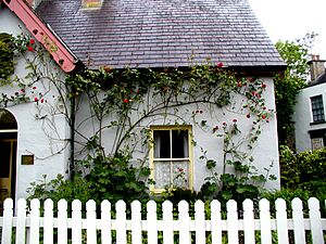 Rose Cottage at Bunratty