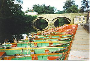 Rowing Boats, Knaresborough - geograph.org.uk - 272034