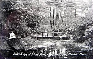 Rustic Bridge, Pine Banks Park