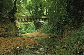 Sais footbridge over San Anselmo Creek dry 1997 Charles Kennard