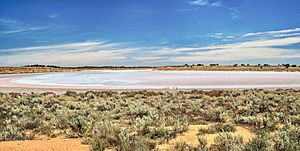 Salt pan and bluebush in Lake Gairdner National Park, South Australia (less saturated)