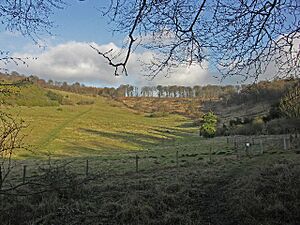 Shirburn Hill - geograph.org.uk - 110077
