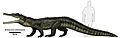 Smilosuchus adamanensis