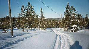 Snowmobil tour, Vitvattnet, Bjurholm