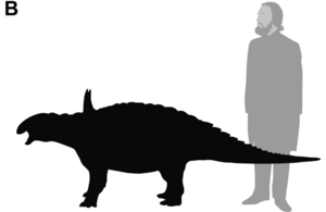 Struthiosaurus austriacus size