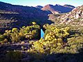 Sycamore Wilderness (4109374915)