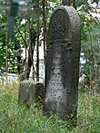 Tarnobrzeg - Jewish Graveyard.jpg