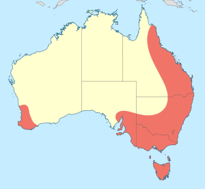 Map showing distribution of Telephlebiidae in eastern and south-western Australia