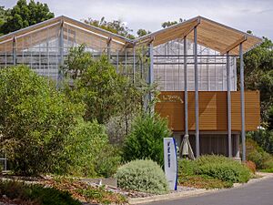 The Plant Accelerator