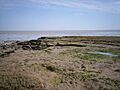 Tillingham Marshes - far eastern edge. - geograph.org.uk - 1311468
