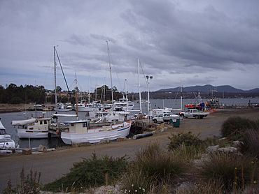 Triabunna,Tasmania.JPG