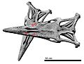 Tylosaurus attack diagram